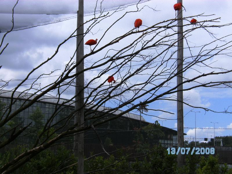 BILD0084.JPG