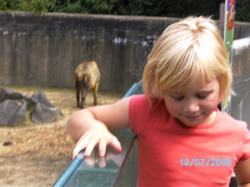 BILD0096.JPG
