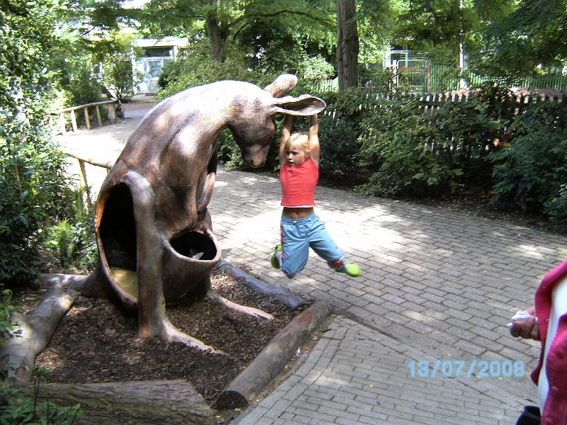 BILD0110.JPG