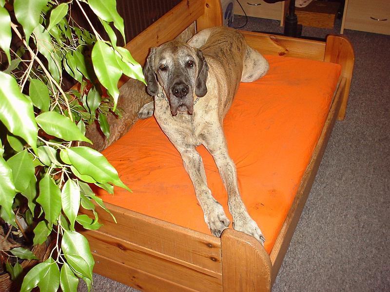 DSC02680.JPG