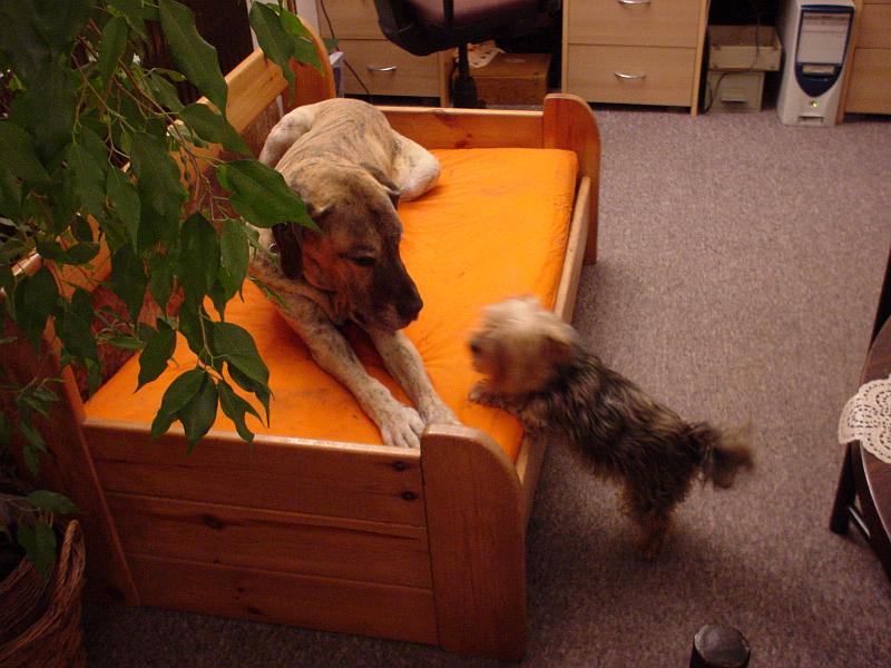 DSC02685.JPG