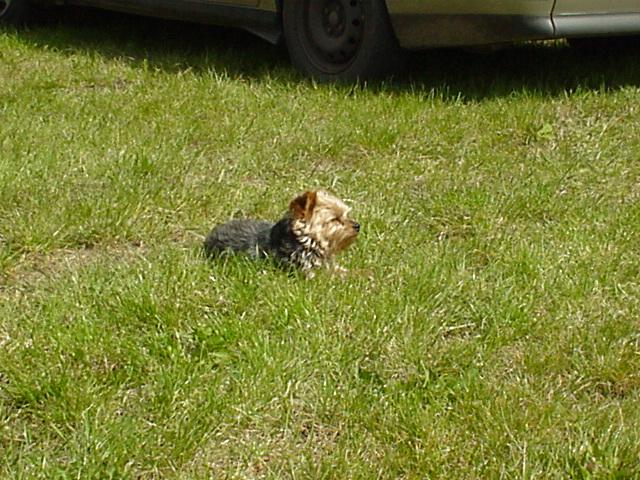 DSC02786.JPG