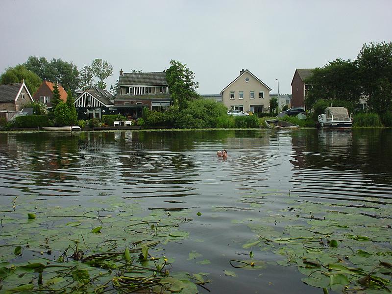 DSC02836.JPG