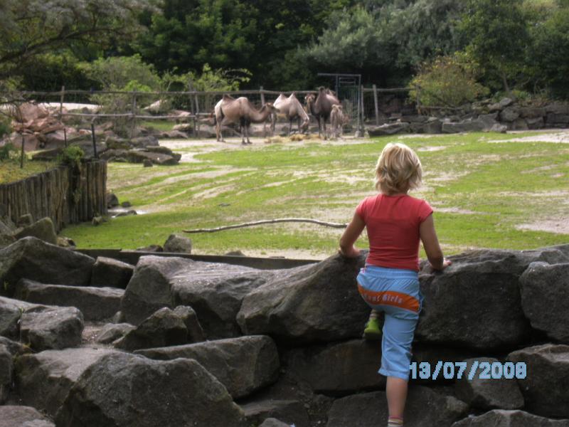 BILD0101.JPG