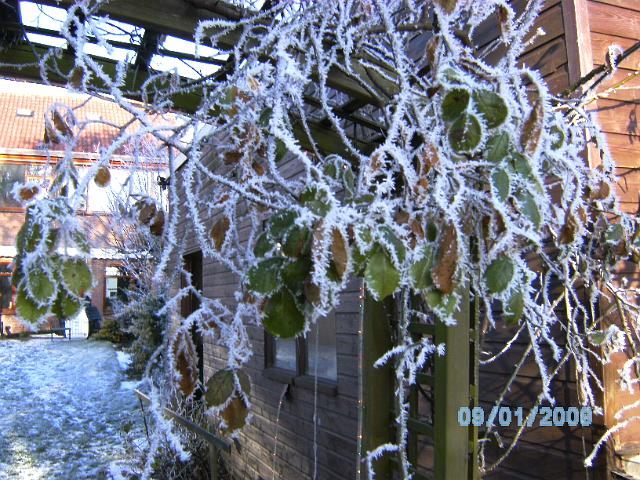 BILD0426.JPG
