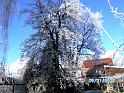 BILD0416