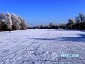 BILD0423