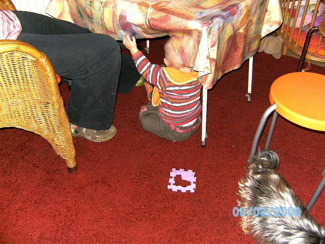 BILD0534.JPG