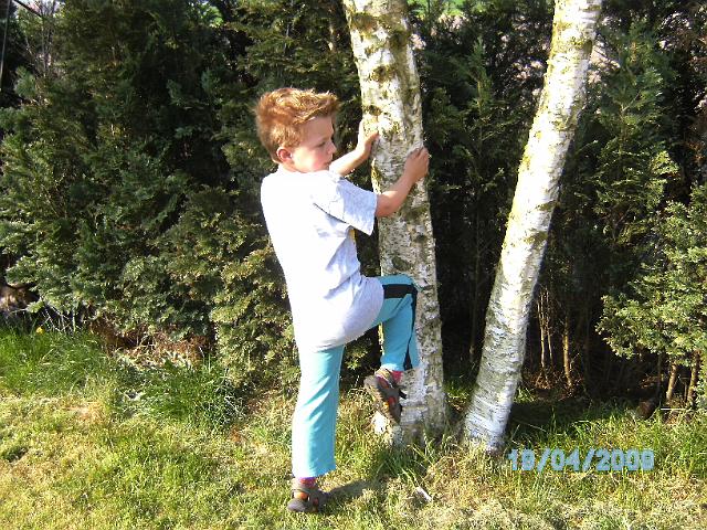 BILD0619.JPG