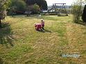 BILD0618