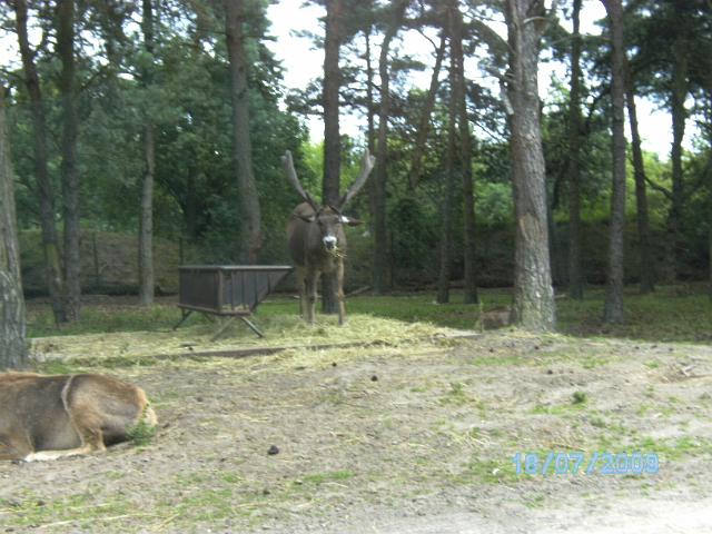 BILD0632.JPG