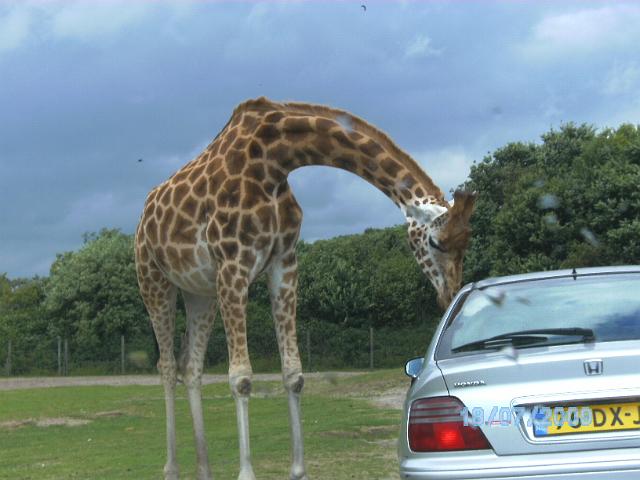 BILD0637.JPG