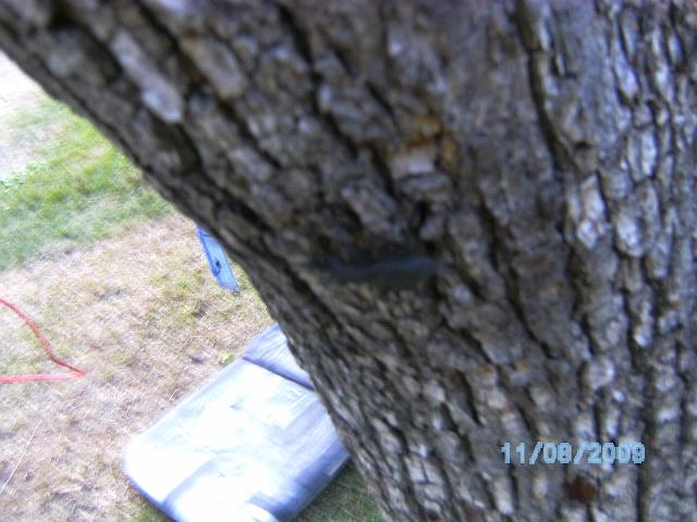 BILD0719.JPG