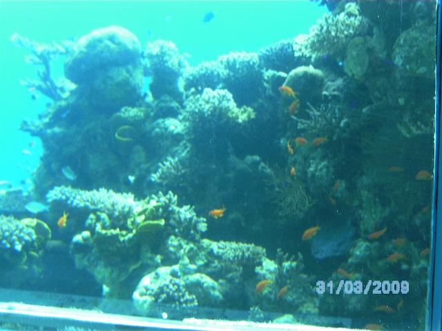 BILD0081.JPG