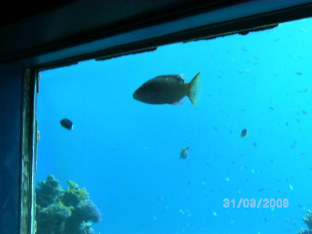 BILD0082.JPG