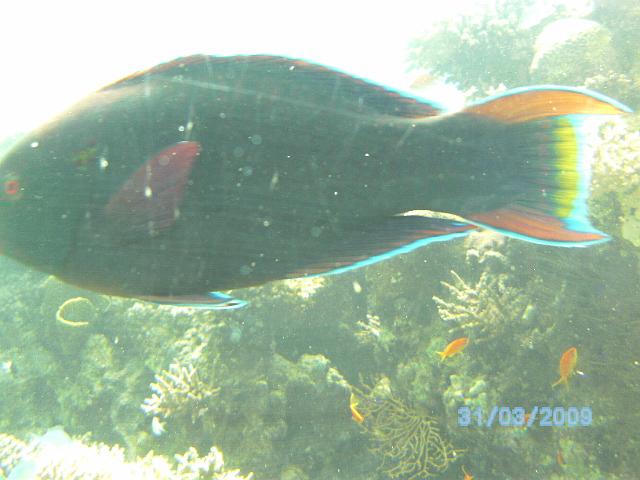 BILD0084.JPG