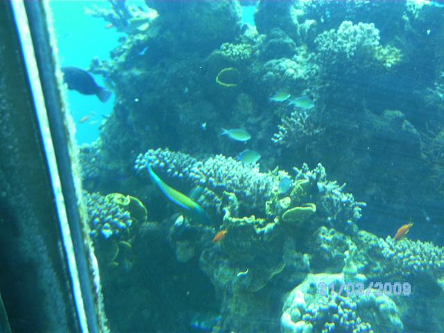 BILD0085.JPG