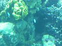 BILD0079
