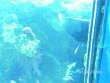 BILD0086