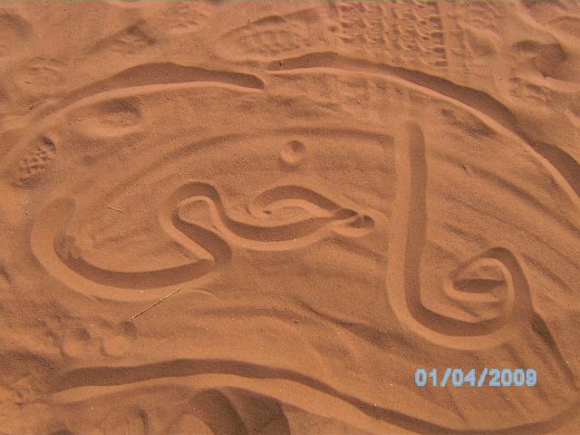 BILD0132.JPG