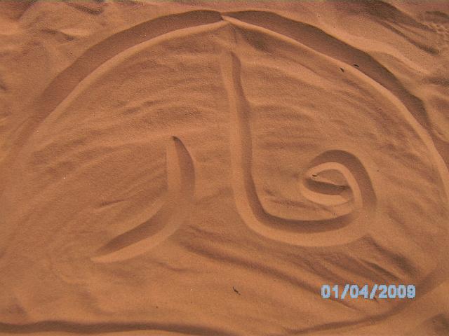 BILD0133.JPG