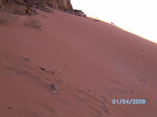 BILD0138.JPG