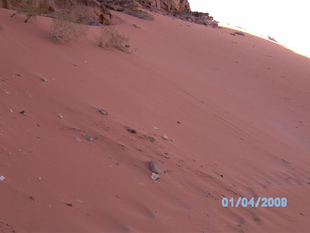 BILD0139.JPG
