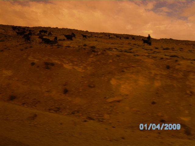 BILD0217.JPG
