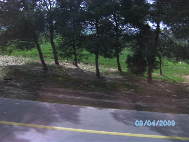 BILD0055.JPG