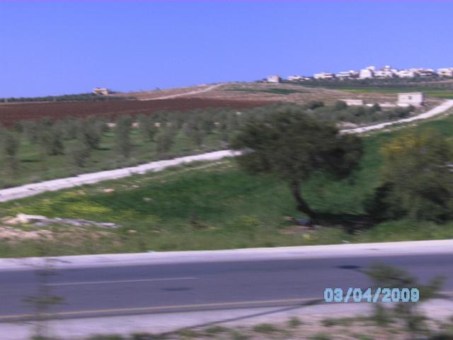 BILD0079.JPG