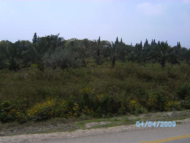 BILD0094.JPG