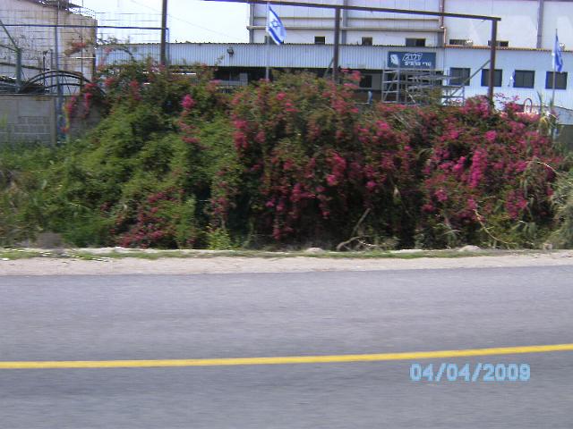 BILD0095.JPG