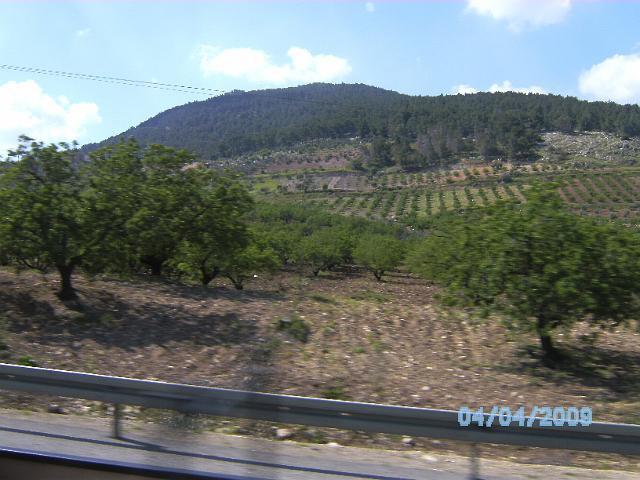 BILD0110.JPG