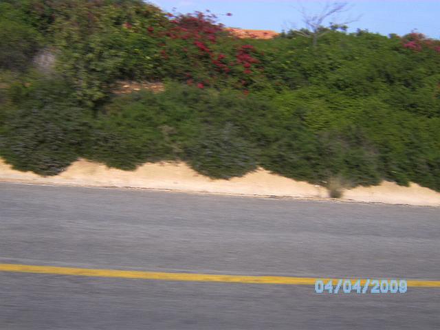 BILD0116.JPG