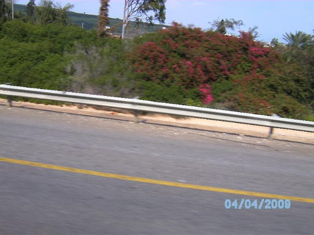 BILD0117.JPG