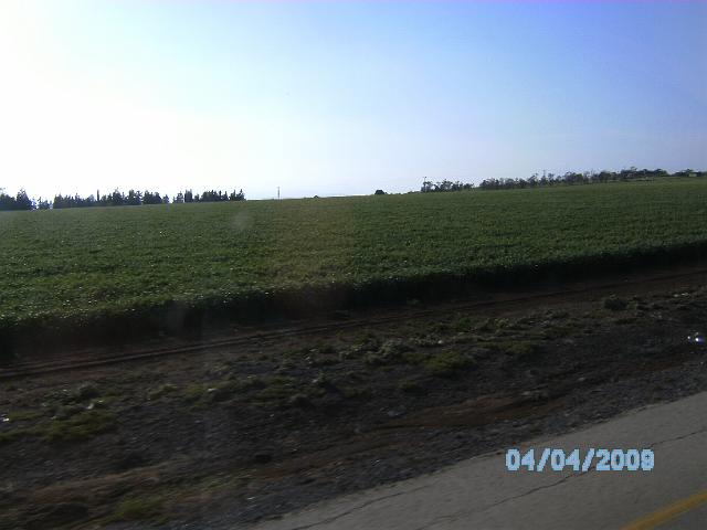 BILD0168.JPG