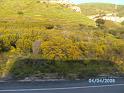 BILD0175