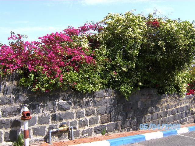 BILD0186.JPG