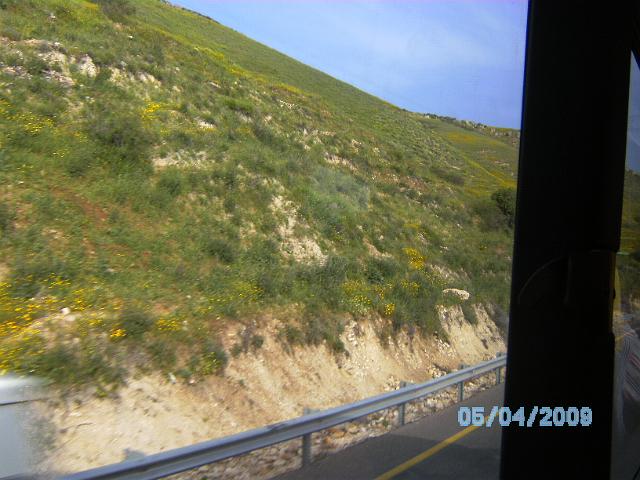 BILD0206.JPG