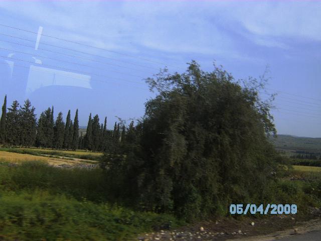 BILD0208.JPG