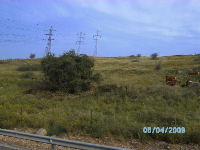 BILD0210.JPG