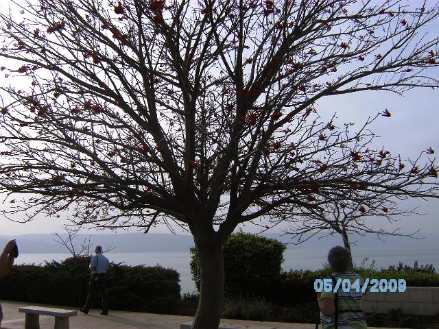 BILD0212.JPG