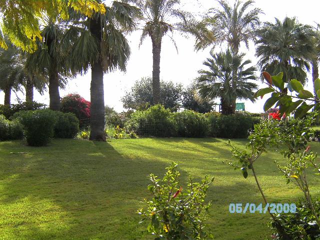 BILD0216.JPG
