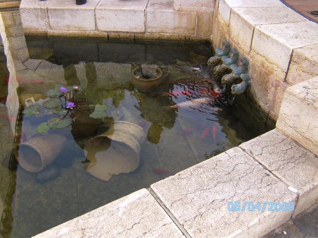 BILD0226.JPG