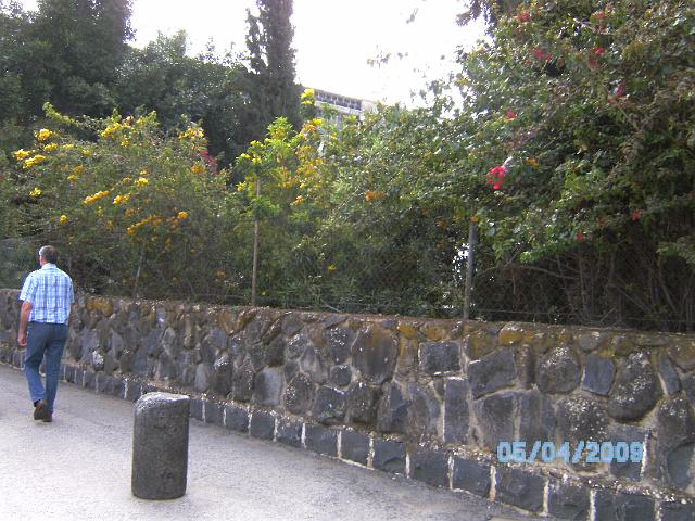 BILD0236.JPG