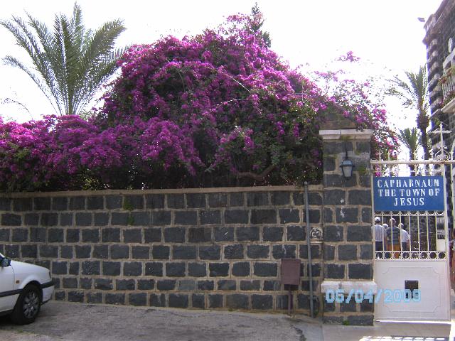 BILD0237.JPG