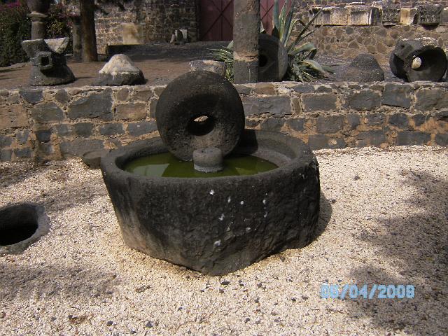 BILD0241.JPG