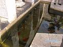BILD0225