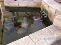 BILD0226