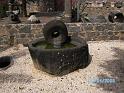 BILD0241